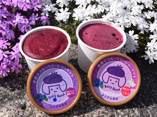 もうひとつの田舎を見つけよう 愛知のてっぺん豊根村で ブルーベリージャム＆ピザ体験！―あさがね農園(豊根村)