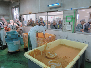 日本一なが～い大根！！守口漬の漬け込み仕上げ体験＆工房見学