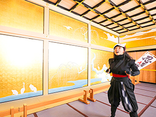 【水蓮のあいち忍者修行！】上洛殿に残された謎の伝言を解読せよ！