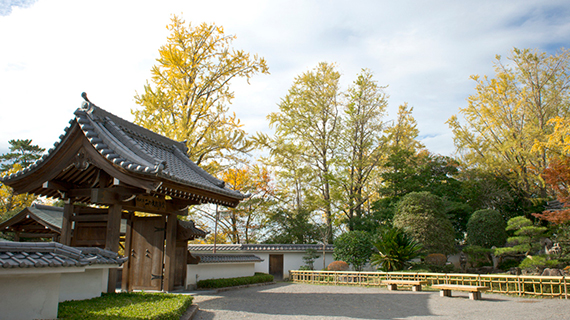家康公ゆかりの地リスペクトツアー
