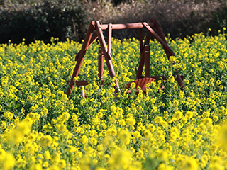 菜の花電車＆バスで行く！春の渥美半島 ぶらぶら途中下車の旅